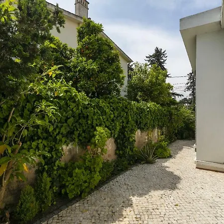 Aroeira By Homing Villa