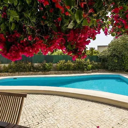 Villa Aroeira By Homing